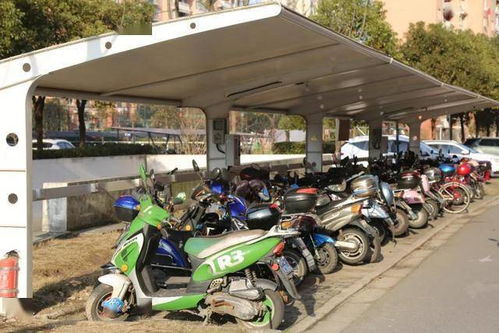 交通設施改造 技防工程建設 道路沿線景觀提升 這個鎮今年十大民生實事項目來啦