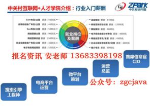 中關(guān)村互聯(lián)網(wǎng)營(yíng)銷與大數(shù)據(jù)培訓(xùn) Java技術(shù)賦能與“先就業(yè)后付款”模式解析